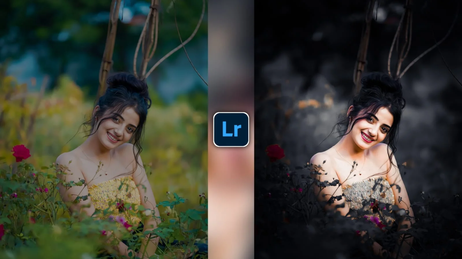 Lightroom Preset 2