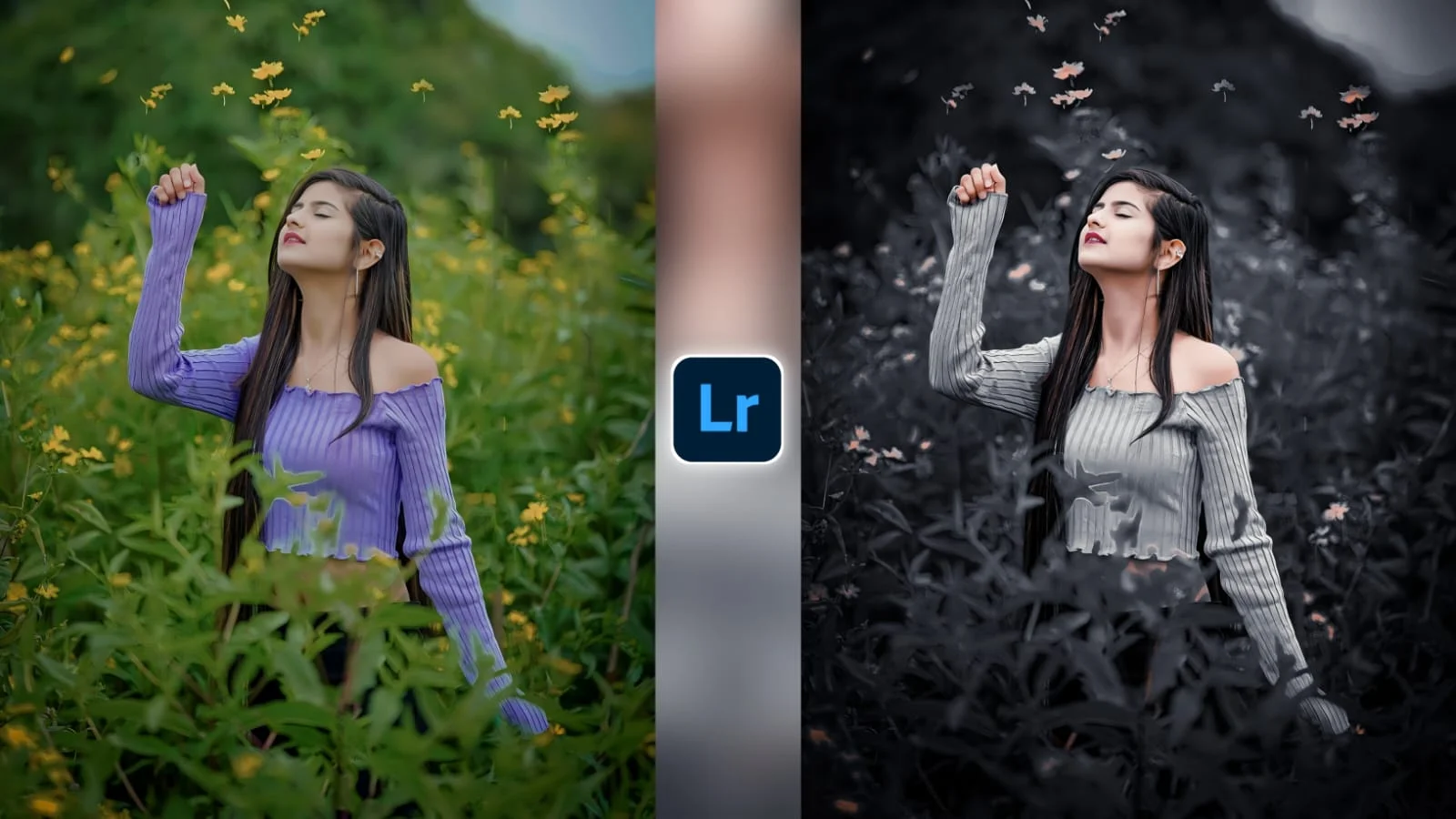 Lightroom Preset Download 10