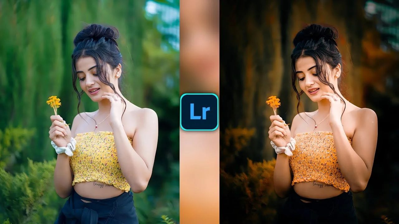 Lightroom Preset Download 23