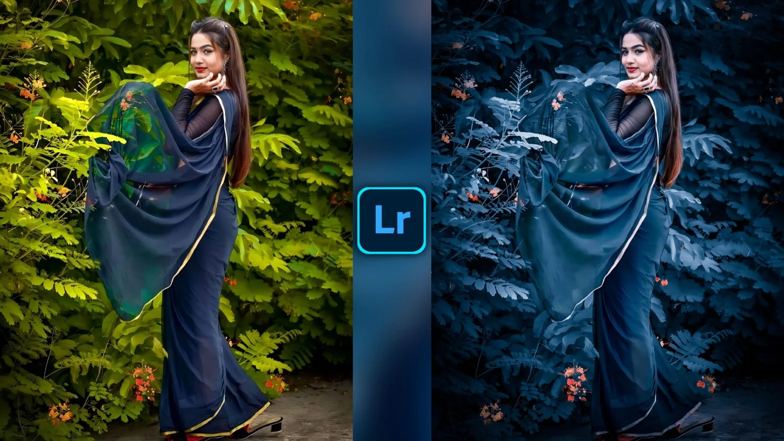 Adobe Lightroom Preset 2