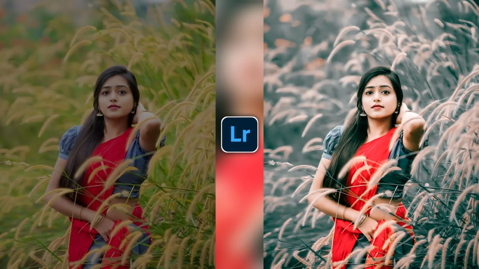 Lightroom Preset Download 4