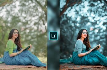 Lightroom Preset Download 35