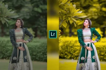 Lightroom Preset Download 38